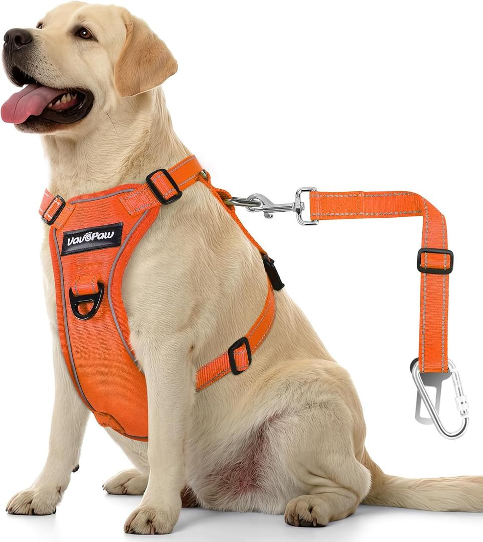 VavoPaw Dog Seat Belt Harness for Car, Dog Car Harness Adjustable Mesh Breathable & Dogs Seatbelt Safety Tether with Elastic Bungee for Small Medium Large Pets(Orange, L)