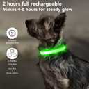 PZRLit LED Light Up Dog Collars Micro USB Rechargeable Waterproof, Full Adjustable Lighted Glow Dark Dog Collar Light for Night Walking for Small Medium Large Dogs, Green