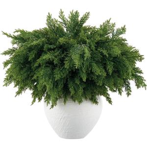 12 Pcs Real Touch Norfolk Pine Branch  18" Artificial Christmas Green Plants Branches, Faux Greenery Pine Stems Fake Cedar Picks for Vase DIY Crafts, Christmas Picks Indoor Home Decor