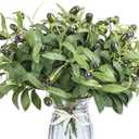Erlandens 30pcs Faux Olive Leaves Stems 10” Tall Artificial Plants Olive Branches for Small Vase Tabletop Greenery Decor for Home Office Wedding Party (Vase Not Included)