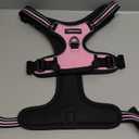 rabbitgoo Dog Harness No Pull with 2 Leash Clips, Adjustable Soft Padded, Reflective Oxford No Choke Pet Vest with Easy Control Handle for Dogs, Pink, XL
