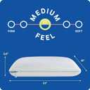 Sealy Dreamlife King Size Memory Foam Cooling Pillow with SealyChill Cooling Gel, Removable Machine-Washable Cover, Made in the USA, White