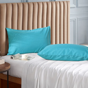 EVOLIVE Ultra Soft Brushed Microfiber Standard Size 20"x30" Pillowcases Pair Set of 2 with Envelope Closure (20"x30" Standard, Ocean)