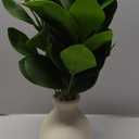 16" Artificial Eucalyptus Stems Potted Plant Indoor Fake Plants - Realistic Greenery with Vase, Small Artificial Office Desk Plants in Pots for Home Decor Weddings Centerpieces