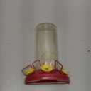 Perky-Pet Plastic Window Mount Hummingbird Feeder with Perches - 8 oz Hummingbird Nectar Capacity, 217 - Hummingbird feeders for outdoors