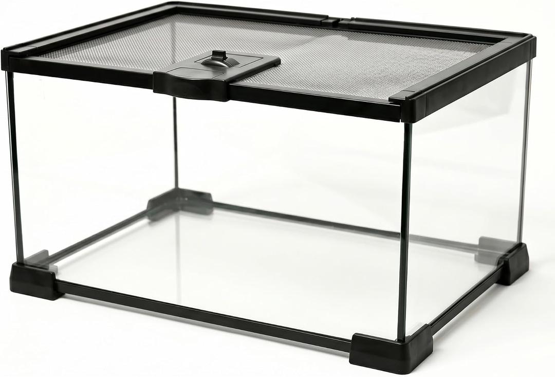 12x8x6 Inch Glass Reptile Terrarium, Escape Proof for Geckos