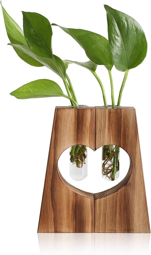Glass Plant Propagation Station for Hydroponics