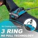 Essential Dog Harness with 3 Leash Clips - No-Pull, Adjustable, Comfortable Pet Vest Harness for Small to Large Dogs - Easy On, No Choke, Reflective, Padded Harness for Walking and Training (S(Neck:14-18",Chest:16-21"), Turquoise)