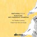 Davines Naturaltech Purifying Shampoo, Clarifying & Anti-Dandruff for Dandruff (Oily or Dry) - With Dandelion Phytoceuticals - Cleanser for Scalp with Dandruff, 8.45 Fl Oz