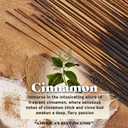 Wild Berry Incense Sticks - Cinnamon - Spicy and Warm Cinnamon Scent - Hand Dipped in the USA (100 Count)