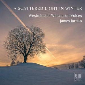 Scattered Light in Winter