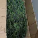 Briful 5ft Cedar Topiary Trees Artificial Outdoor Set of 2, Realistic Faux Cedar Pines with Pots, UV Resistant Christmas Greenery for Holiday Decor, Indoor Farmhouse Entryway Patio Door Plants