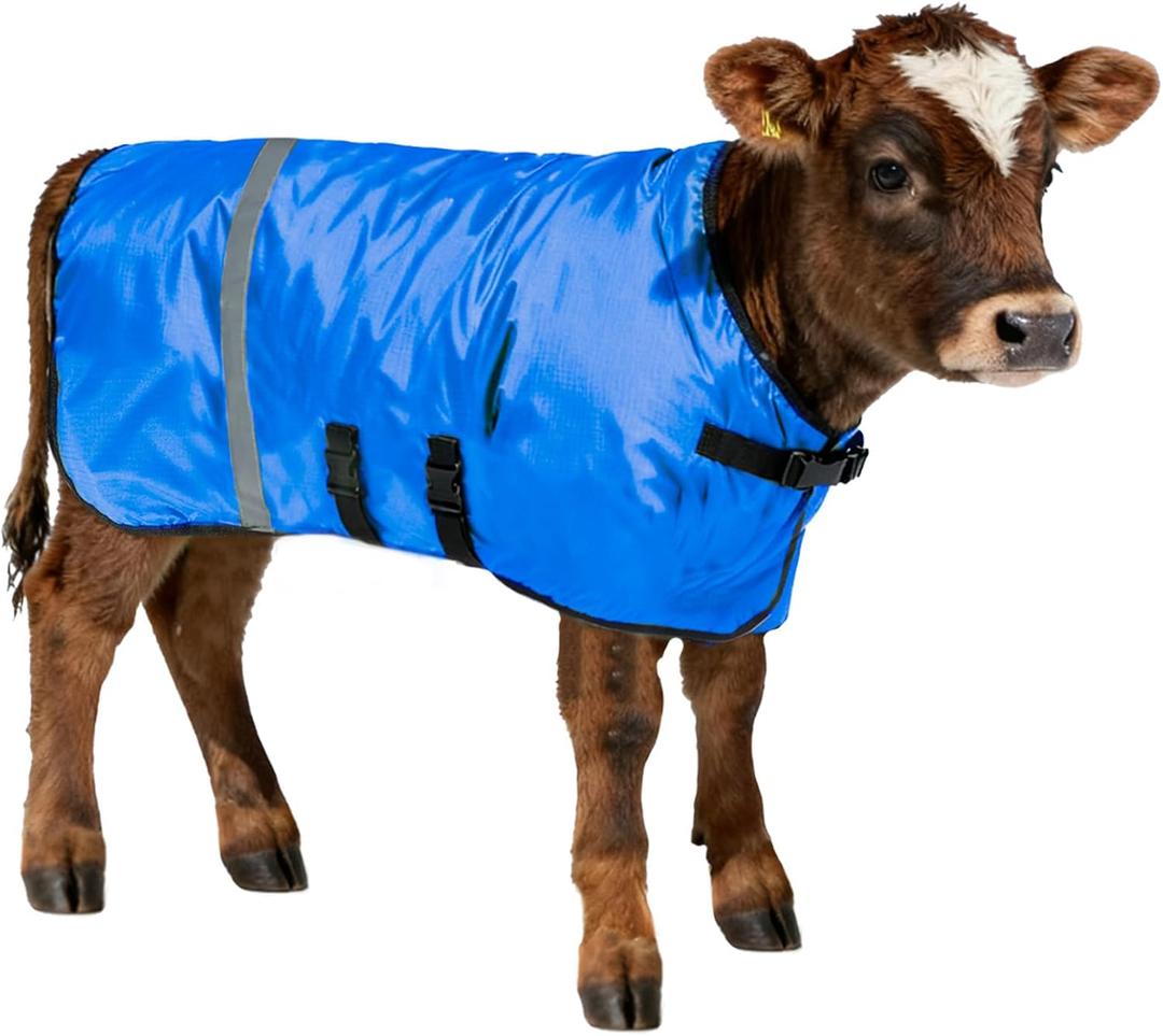 Calf Coat - Blue Calf Blanket for Winter, 1-Pack | Winter Blanket for Calves, Goats, Dogs, Foal, Donkey | Water Resistant & Adjustable Livestock Warmer