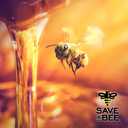 Glorybee, Premium Honey Syrup, Real Honey, No Artifical colors or flavors, 25.4 fl oz (EXP 02/02/26)