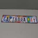 Vintage Capybara Way Decor Street Signs Metal Tin Signs 16 x 4 Inches