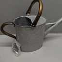 Megawodar 1 Gallon Metal Watering Can with Removable Spout, Nice Galvanized Steel Water Can with Embossed Design for Indoor and Outdoor Plants