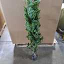 5FT Artificial Ficus Tree-Artificial Plants Indoor,Faux Tree,Tall Fake Plants Indoor Fake Tree Artificial Trees for Home Decor Indoor,Living Room Corner Decor (White+green)