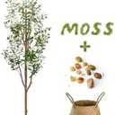 LuceAlberi 6FT Artificial Olive Tree - Indoor Tall Faux Olive Trees with Planter&Basket, Large Fake Olive Silk Tree Realistic Olive Plants with Branches and Fruits for Home Decor Office Living Room