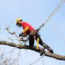 1/2 in x 15 FT Outdoor Rope for Marine, Hunting, Boating, Fishing, Rafting, Camping, Hiking, Anchor, Mooring, Floating, Dock Lines, Kayak, Canoe, Rescuing Purple with Hook