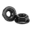 1/4-20 Serrated Flange Hex Lock Nuts 100Pcs 304 Stainless Steel 18-8, Full Thread, Hex Drive, Bright Finish, Black Oxide by SG TZH