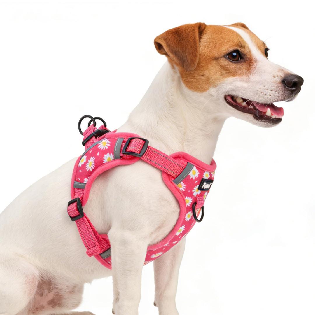PUPTECK No Pull Dog Harness Small Sized Dog, Adjustable Reflective Escape Proof Easy Control, Comfortable Soft Padded Step in Pet Vest Harness, Fuschia, Small