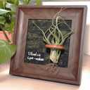 Air Plant Holder Tillandsia Ionantha Display Frame - Waterproof Wall Hanger Air Succulent Hanging Decor for Indoor House Plants, Creative Gift for Plant Parents