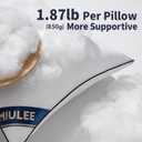 MIULEE 20x20 Pillow Inserts Set of 2 Throw Pillows 20 Inch Premium Down Alternative Pillow Inserts Decorative Pillow Stuffer for Sofa, Couch (20x20 inch, Set of 2)