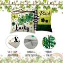 2 x BBOLDIN Saint Patricks Day Throw Pillow Covers 18x18, Green Shamrock Clover Plaid Pillow Cases Set of 4, Spring March Lucky Cushion Covers Decorations for Living Room Bedroom