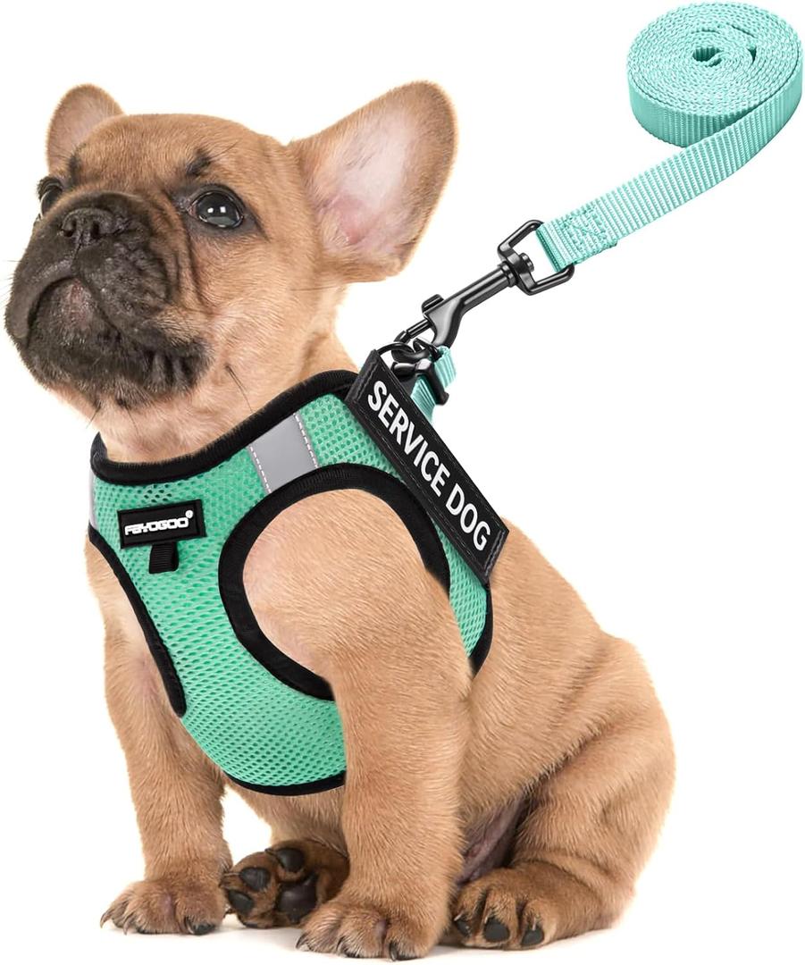 FAYOGOO Service Dog Vest Set for Small Dogs, Mesh Harness and Leash