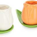 Tulip Coffee Cup Set