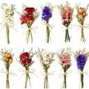 10 Pack Dried Flowers for Vase Various Mini Bouquet Dried Small Wildflowers Natural Real Flowers Bulk for Crafts DIY Wedding Decor (10, Classic Color1)