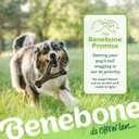 Benebone 2-pack Wishbone/Dental Durable Dog Chew Toys, Dog Toys for Aggressive Chewers, Real Bacon, Made in USA, Medium