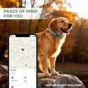 Premium Leather AirTag Dog Collar, 100% Waterproof & Reflective Dog Collar with AirTag Holder – Compatible with Apple Air Tag | Durable, Comfortable Padded GPS Dog Collars（Green-XL）