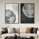 Framed Black and White Tree Ring Wall Art for Living Room, Set of 2 Large Abstract Wood Grain Canvas Prints Paintings, Modern Farmhouse Nature Artwork Decor for Bedroom Hallway, 24x36 Inch