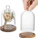 MyGift Mini Clear Glass Bell Display Cloches with Premium Acacia Solid Wood Base, Decorative Dome Cover Stands for Small Heirloom Jewelry Curios Keepsakes, Set of 2