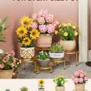 5 Pack Metal Potted Plant Stands,Flower Pot Stand Holder,Heavy Duty Plant Shelf for Multiple Plant,Rustproof Planter Container Round Supports Display Rack for Home(GoldCircle)