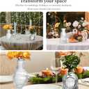 Glass Bud Vases Set of 64 - Assorted Small Mini Glass Vases for Flowers, Crystal Vintage Vase Set, Bulk Centerpieces for Table Dcor, Wedding, Home and Events (Clear, 64 Pcs)