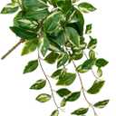 Oairse Artificial Hanging Plants Hanging Faux Pothos Vines Plants Fake Wall Plant Greenery Decor for Bedroom Bathroom Living Room Balcony Shelf Indoor Outdoor Dcor