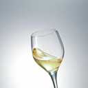 Schott Zwiesel Tritan Crystal Glass Mondial Stemware Collection All Purpose White Wine Glass, 8.4-Ounce, Set of 6