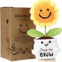 Sea Team Handmade Positive Sunflower Crochet Doll with Emotional Support Card, Knitted Artificial Flower, Christmas Decoration, Thank You Gift for Coworker, Friend, Bestie, Teacher (Small)