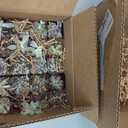 Shop Succulents Echeveria & Rosette Live Succulent Variety Pack Fully Rooted 2" Potted Plants for Gifts, Favors, DIY Projects, Terrariums, Home Dcor, and Garden Arrangements, 20 Pack