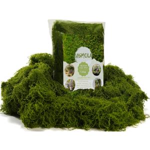 USMOLA 3.5OZ Fake Moss for Plants Indoor - Artificial Moss for Table Centerpieces, Fairy Gardens, Terrariums - Realistic Faux Grass for Wedding Christmas Party Decor (Natural Green)