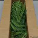 DILATATA 12PCS Artificial Fern Leaves Stems Tropical Faux Fern Foliage Greenery Picks Fake Fern Plants for Vase Wedding Bouquets Home Garden Indoor Outdoor DIY Decor