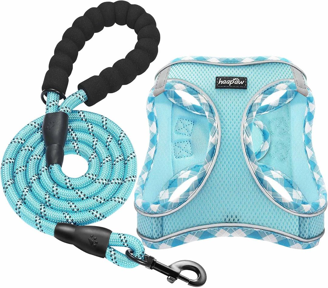 haapaw Dog Harness with Leash Set, No Pull Adjustable Reflective Step-in Puppy Harness with Thickened Padded Vest for Extra-Small/Small Medium Dogs (Turquoise, S)