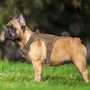 Beebiepet Heavy Duty Tactical Dog Harness for Medium Dogs, Brown, Molle System, Four-Point Adjustment, Anti-Lost ID Tag, Includes 5ft Leash, M
