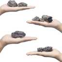 EOIVSH 7pcs Diorama Supplies Fake Rocks, Artificial Garden Figurines Tree Stump, Scene Accessories Stone Stumps Statue Ornaments for Micro Train Railway Sand Table Landscape