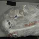 5.4Ft Posable Halloween Skeleton with Dog Cat Skeleton for Halloween Decor, 65IN