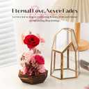 Valentines Day Flowers Gifts for Women,Forever Real Preserved Roses in Glass Dome,Valentines Day Roses Gifts for Her Wife Women Best FriendPink