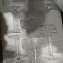 Ciaell 12 Pack 10 oz Plastic Martini Glasses for Parties