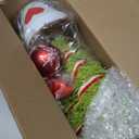 Seenelling 2.5 Ft Whimsical Table Top Christmas Tree Bendable Lime Green Christmas Tree with Red Ball Bent Top Curved Shape Artificial Tabletop Decoration for Xmas Home Decor Party Office Home Indoor